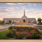 Reno Flowers