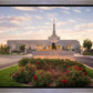 Reno Flowers