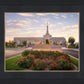Reno Flowers