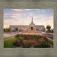 Reno Flowers