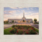 Reno Flowers