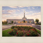 Reno Flowers