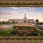 Reno Flowers