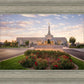 Reno Flowers