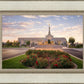 Reno Flowers