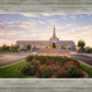 Reno Flowers