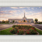Reno Flowers