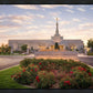 Reno Flowers
