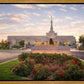 Reno Flowers