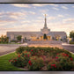 Reno Flowers