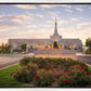 Reno Flowers