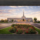 Reno Flowers
