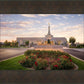 Reno Flowers