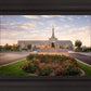 Reno Flowers