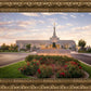 Reno Flowers