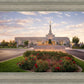 Reno Flowers