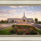 Reno Flowers