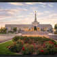 Reno Flowers