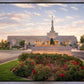 Reno Flowers