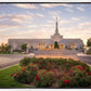 Reno Flowers