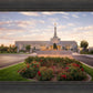 Reno Flowers