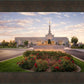 Reno Flowers