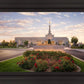 Reno Flowers