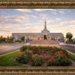 Reno Flowers