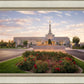 Reno Flowers