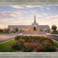 Reno Flowers