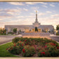 Reno Flowers