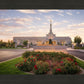 Reno Flowers
