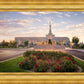 Reno Flowers