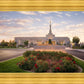Reno Flowers