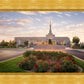 Reno Flowers