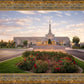 Reno Flowers