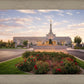Reno Flowers
