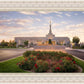 Reno Flowers