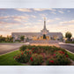 Reno Flowers
