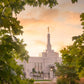 Reno Gardens