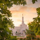 Reno Gardens