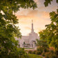 Reno Gardens