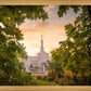 Reno Gardens