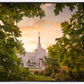 Reno Gardens