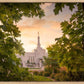 Reno Gardens