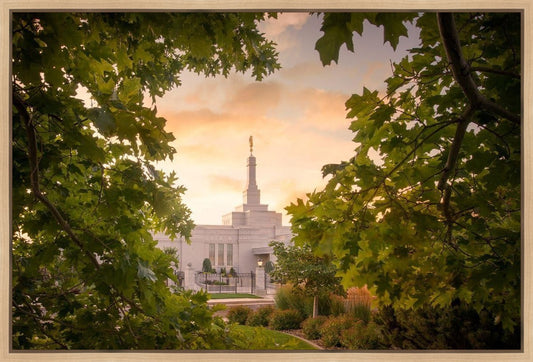 Reno Gardens