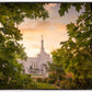 Reno Gardens