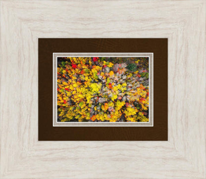 Sacred Grove Autumn From Heaven