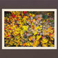 Sacred Grove Autumn From Heaven