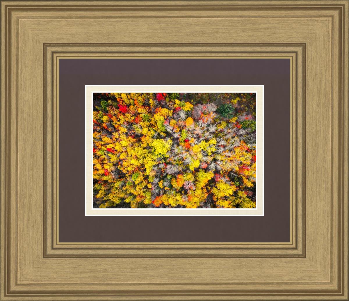 Sacred Grove Autumn From Heaven